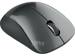 Мышь (Box) Canyon CNE-CMSW11B