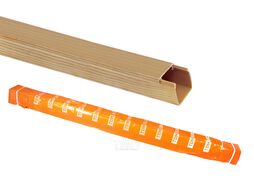 Кабель-канал 16х16 "ЭКО" 3D (сосна) TDM SQ0402-0303