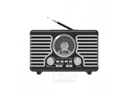 Радиоприемник Ritmix RPR-095 Silver