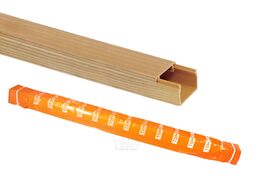Кабель-канал 15х10 "ЭКО" 3D (сосна) TDM SQ0402-0302