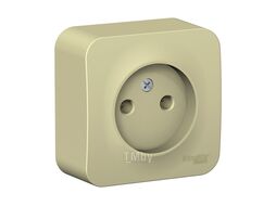 Розетка О/У без заземления без шторок ИЗОЛ.ПЛ., 16А, 250В, БЕЖЕВЫЙ BLANCA Schneider Electric BLNRA000117