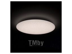Умный светильник YEELIGHT Galaxy Ceiling Light 480мм (YLXD17YL) звездный