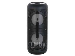 Музыкальный центр TELEFUNKEN TF-PS2205S (черный)