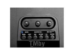 Музыкальный центр TELEFUNKEN TF-PS2206S (черный)