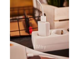 Сетевое зарядное устройство для iPhone/iPad REXANT USB, 5V, 1 A, белое