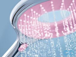 Душевая лейка Grohe Rainshower Icon 150 (27447000)