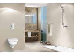 Лейка душевая Rainshower Eco 27274000