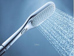 Лейка душевая Rainshower Eco 27274000