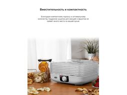 Сушилка для овощей и фруктов OLTO FD-105
