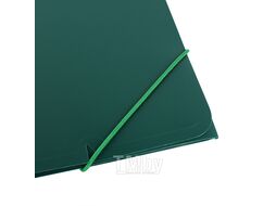 Папка на резинке А4 зелёная Darvish DV-09715IE-GN