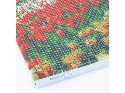 Алмазная живопись 30*30см Мельницы в тюльпановом поле Darvish DV-13760-12