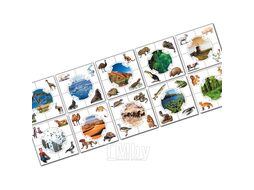 Игра обучающая Учись играя "Кто где живёт" Десятое Королевство 238