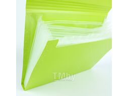 Папка на резинке А4 13 отделений Diamond салатовая Darvish DV-1778D-LG
