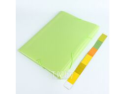 Папка на резинке А4 13 отделений Ice салатовая Darvish DV-1778IE-LG