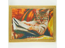 Алмазная мозаика (живопись) 40*50см Учёный кот Darvish DV-11514-39