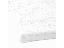 Набор для творчества "Рисование по номерам" холст-30*20см Ягода-малина Darvish DV-4358-39