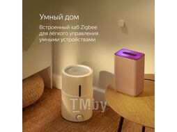Умная колонка Яндекс.Станция 2 YNDX-00051R (красный рубин)
