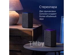 Умная колонка Яндекс.Станция 2 YNDX-00051R (красный рубин)