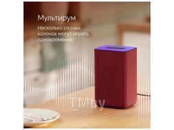 Умная колонка Яндекс.Станция 2 YNDX-00051R (красный рубин)