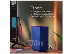 Умная колонка Яндекс.Станция 2 YNDX-00051R (красный рубин)