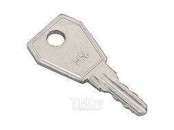 Ключ для пластикового замка к ЩРН (арт. lock-shrn-ip31) EKF PROxima