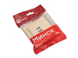Розетка Минск USB 2-местная СП 2,1А бежевая EKF