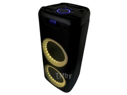 Акустическая портативная колонка Nakatomi GS-50 - 90W, Караоке с беспр. микр., BTFMUSBSDLEDДУ