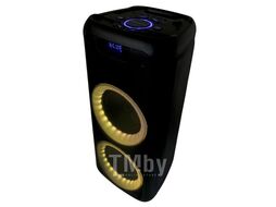 Акустическая портативная колонка Nakatomi GS-40 - 50W, Караоке с беспр. микр., BTFMUSBSDLEDДУ