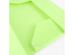 Папка на резинке А4 Ice салатовая Darvish DV-09715IE-LG