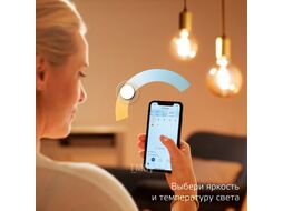 Лампа светодиодная филаментная умная Smart Home Filament 6.5Вт 2000-5500К E27 720лм измен. цветов. темпер. + диммир. управление по Wi-Fi Diamond GAUSS 1370112