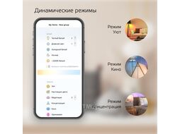 Лампа светодиодная филаментная умная Smart Home Filament 6.5Вт 2000-5500К E27 720лм измен. цветов. темпер. + диммир. управление по Wi-Fi Diamond GAUSS 1370112