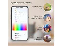 Прожектор светодиодный умный Smart Home ДО 10Вт 3000-6500К IP65 5700лм 200-240В RGBW измен. цвет. темпер.+диммир. управление голосом/смартфоном по Wi-Fi черн. GAUSS 3550132