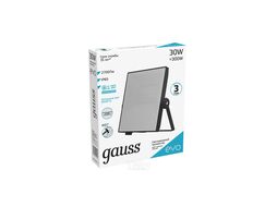 Прожектор светодиодный Evo ДО 30Вт 6500К IP65 2700лм IK07 100-240В черн. GAUSS 687511330