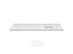 Клавиатура A4Tech Fstyler FBX50C (серебристый/белый)