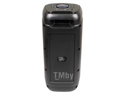 Акустическая портативная колонка Nakatomi GS-30 - 30WRMS, Караоке с беспр. микр, BTFMUSBSDLEDДУ