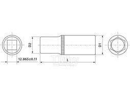 Головка торцевая глубокая 1/2"DR, 19 мм Thorvik FS11219