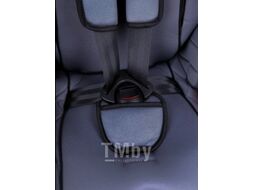 Автокресло Amarobaby Professional / AB212005PSCh/11 (серый/черный)