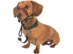 Недоуздок Halti Optifit Headcollar / 26205/COA (L, черный)