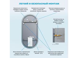 Овальное зеркало с фоновой LED-подсветкой Wellsee 7 Rays Spectrum 172201520 (50*90 см, черный контур, сенсорная кнопка)