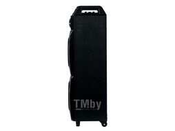 Акустическая портативная колонка Dialog Oscar AO-220-100W RMS, Караоке, беспр. микр, BTFMUSBSDGT