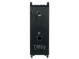 Акустическая портативная колонка Dialog Oscar AO-220-100W RMS, Караоке, беспр. микр, BTFMUSBSDGT