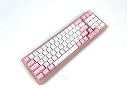 Клавиатура Akko ACR98 mini RGB Acrylic / 1745898 (Prunus Lannesiana)