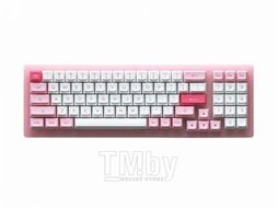 Клавиатура Akko ACR98 mini RGB Acrylic / 1745898 (Prunus Lannesiana)