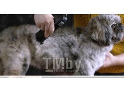 Машинка для стрижки шерсти Moser Max 45 1245-0077
