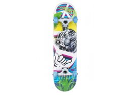 Скейтборд Plank Ptigy P21-SKATE-PTIGY