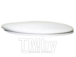 Унитаз подвесной Roca Mateo 7346200000 + ZRU9302815