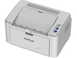 Принтер Pantum P2200