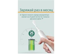 Электрическая зубная щетка Infly Electric Toothbrush T03S / T20030SIN (фиолетовый)