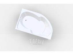 Ванна акриловая 1Марка Diana 170x105 L (с каркасом и экраном)