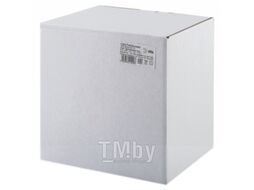 Светильник уличный ЭРА НТУ 06-60-001 / Б0048102